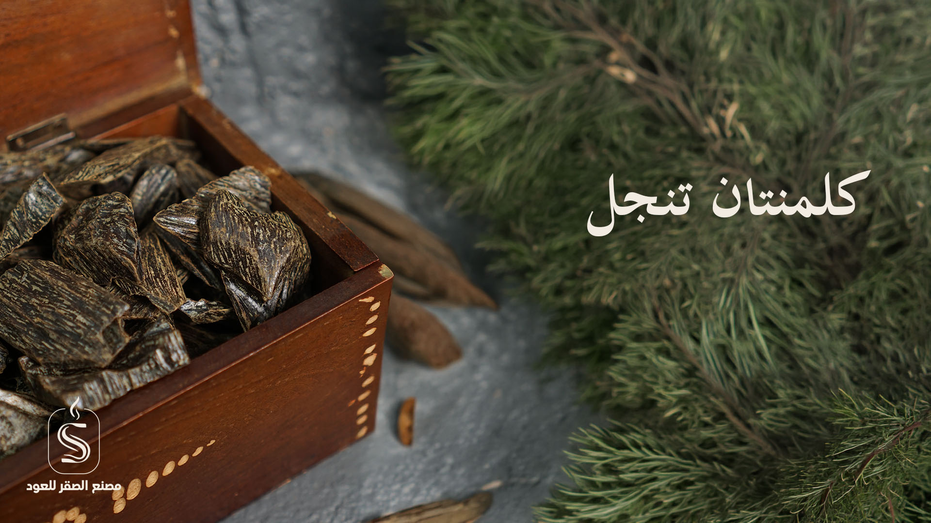 الصقر للعودArtboard 1_12