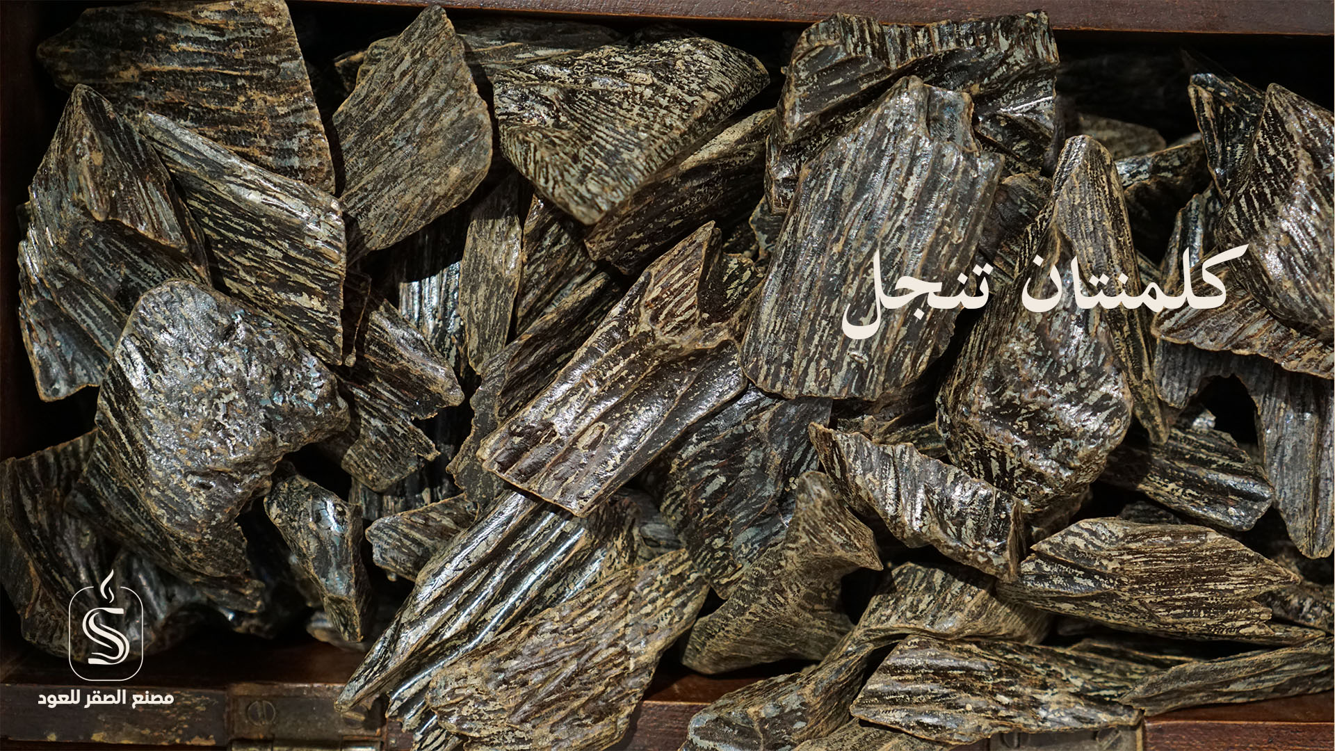الصقر للعودArtboard 1_13 (1)