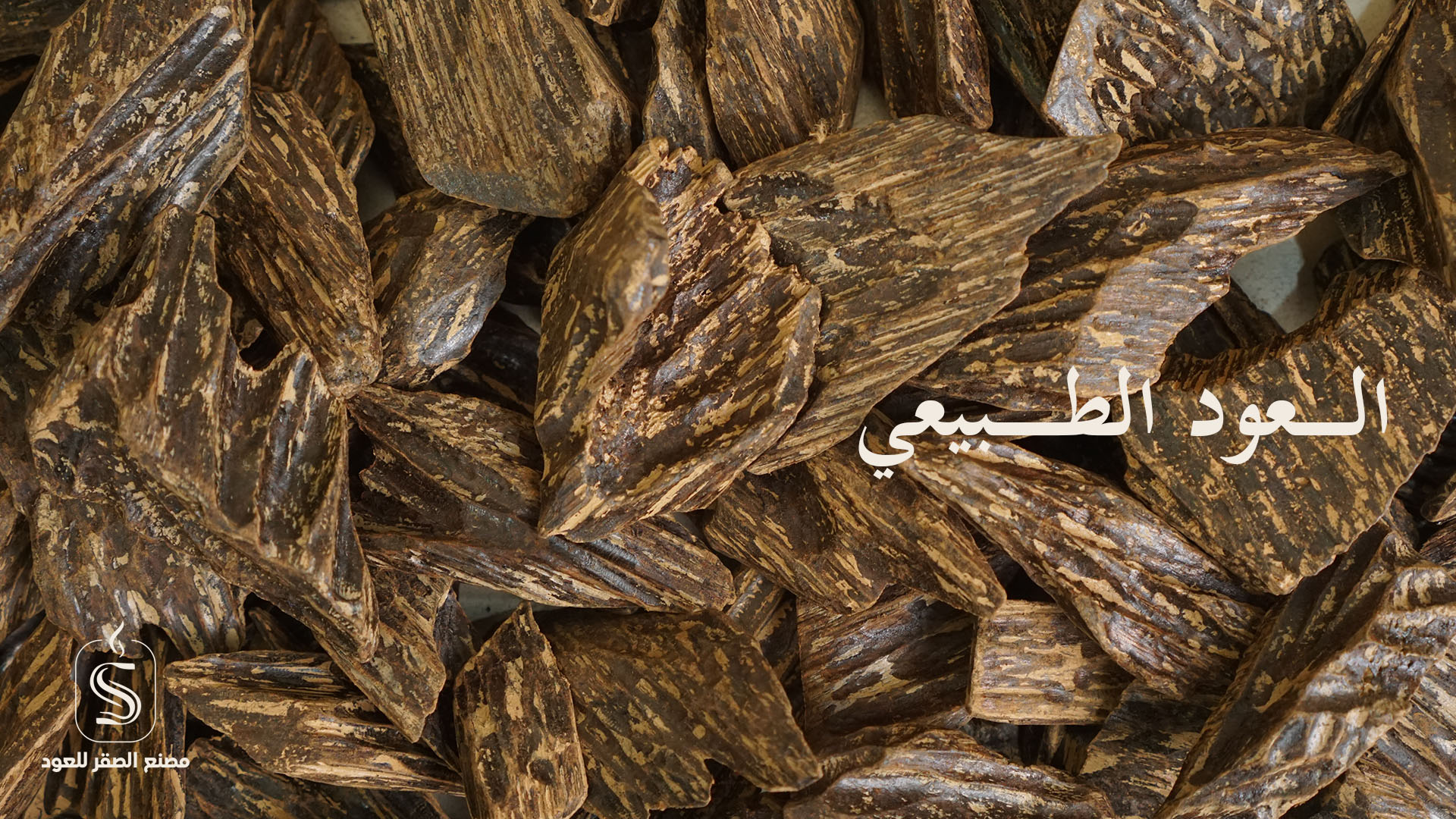 الصقر للعودArtboard 1_9